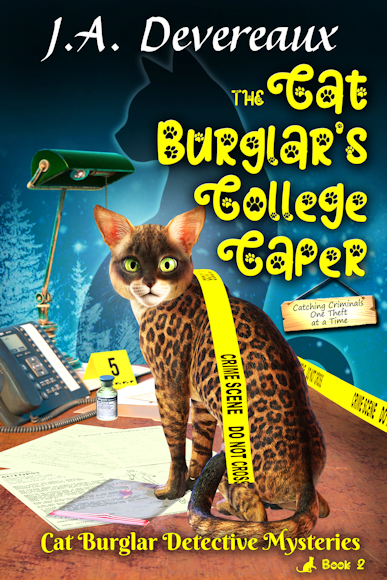 The Cat Burglar's College Caper